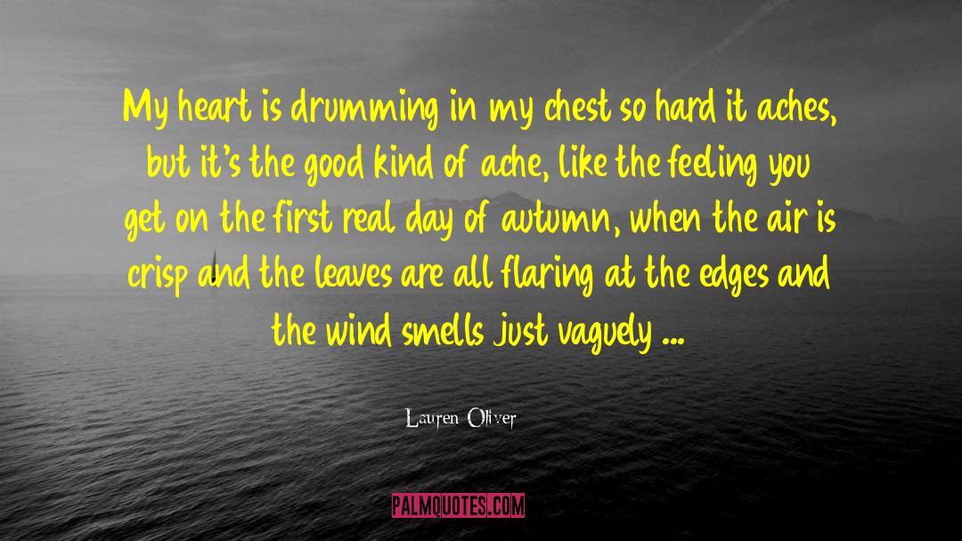 Brothers Wind And Air quotes by Lauren Oliver