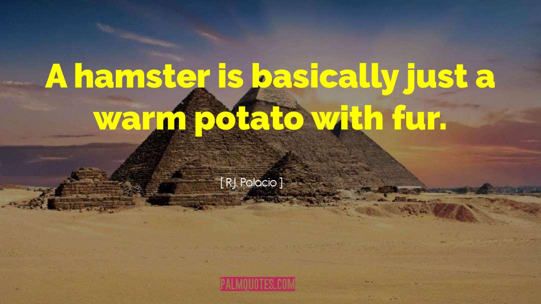 Brothy Potato quotes by R.J. Palacio