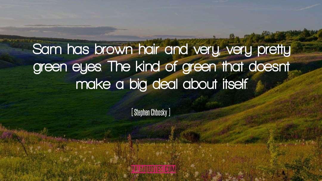 Brown Hair quotes by Stephen Chbosky