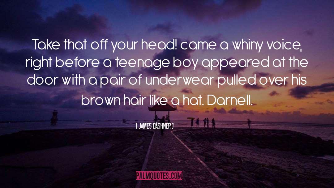 Brown Hair quotes by James Dashner
