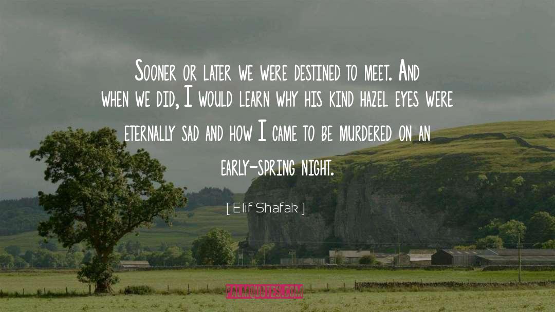 Brown Hazel Eyes quotes by Elif Shafak