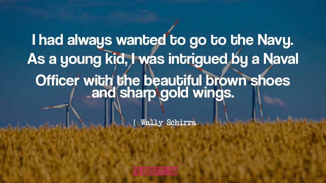 Brown quotes by Wally Schirra
