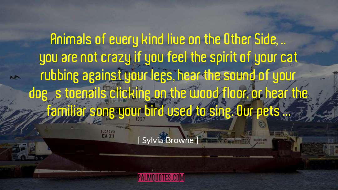 Bruining Toenails quotes by Sylvia Browne