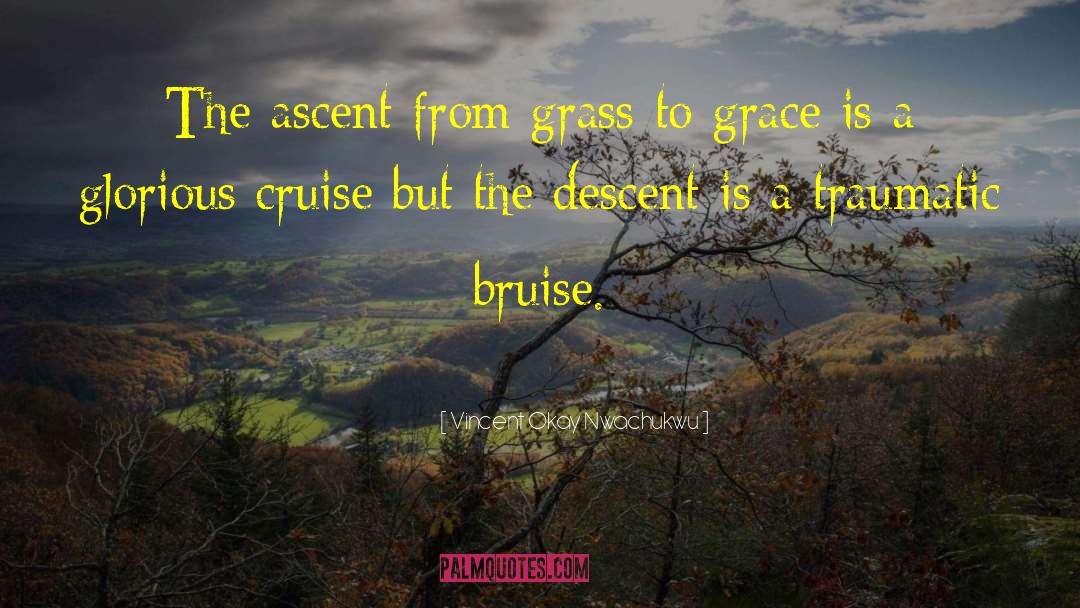 Bruise quotes by Vincent Okay Nwachukwu