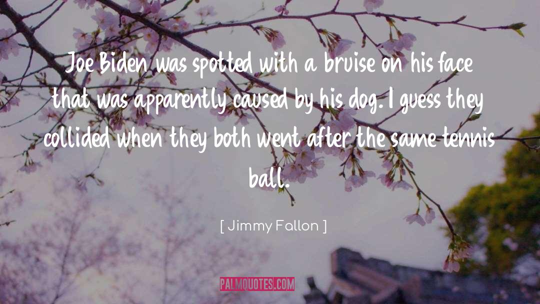 Bruise quotes by Jimmy Fallon