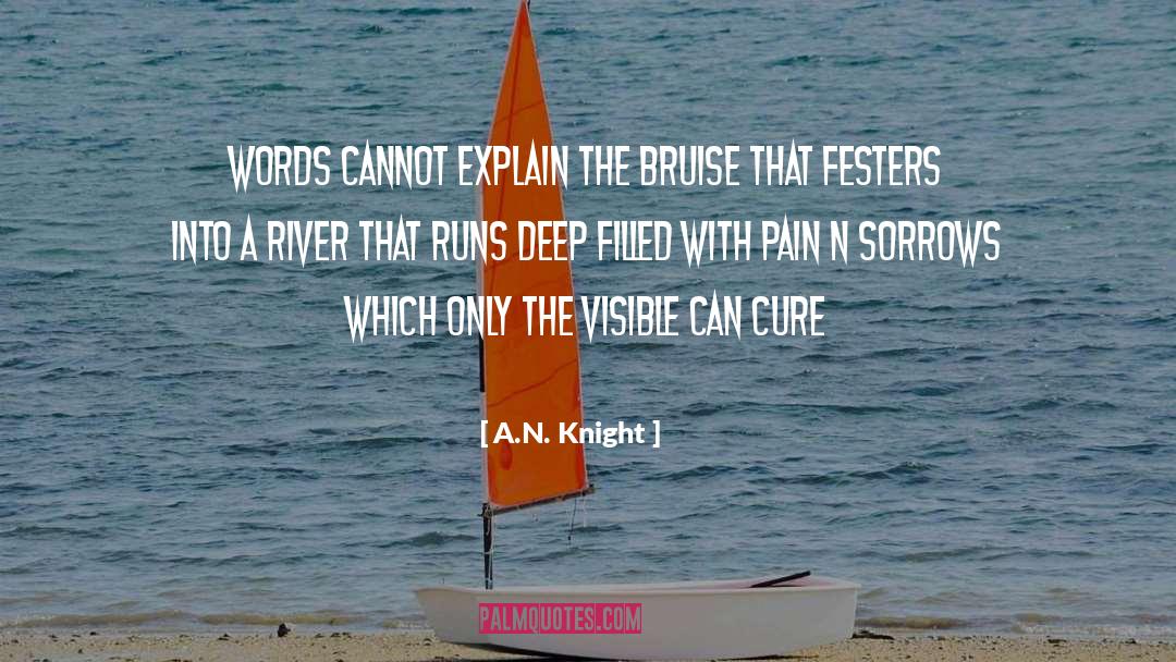 Bruise quotes by A.N. Knight