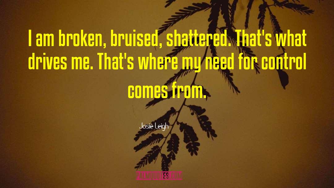 Bruised Hearts quotes by Josie Leigh