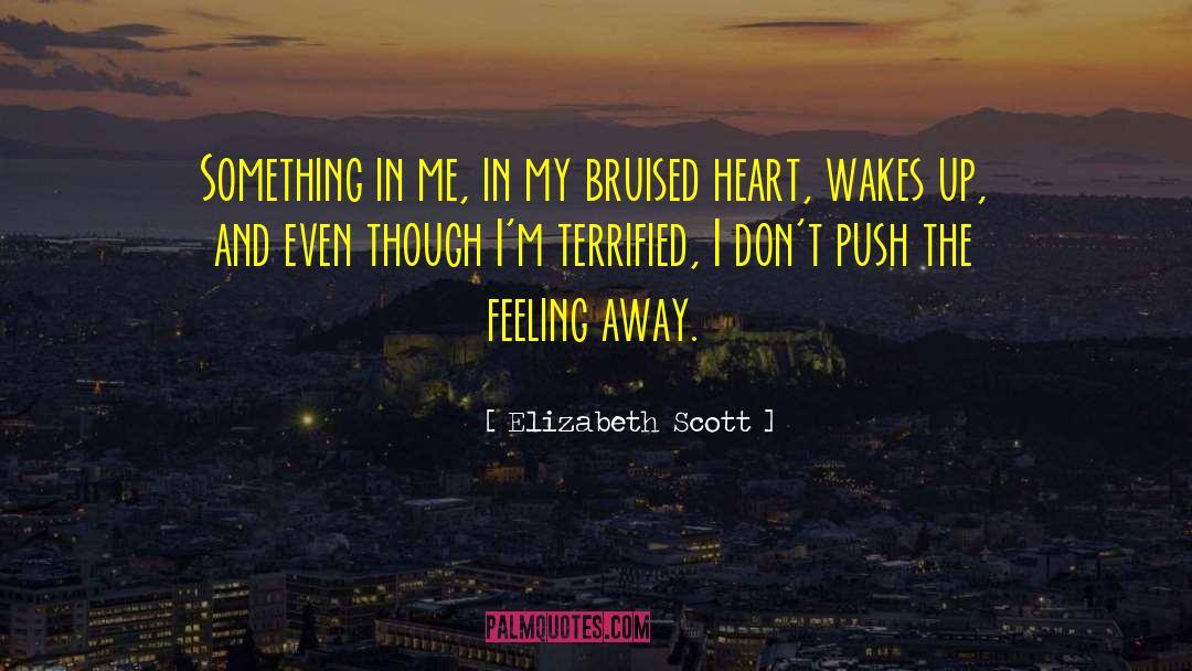 Bruised Hearts quotes by Elizabeth Scott