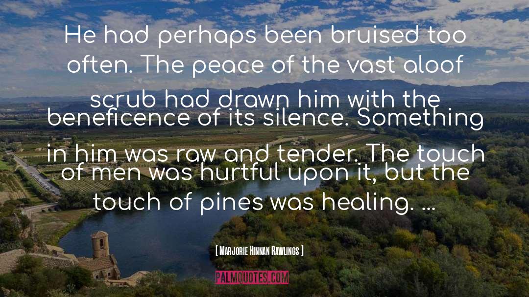 Bruised quotes by Marjorie Kinnan Rawlings