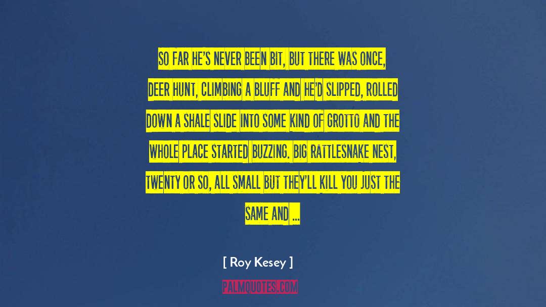 Bruisers Hot quotes by Roy Kesey