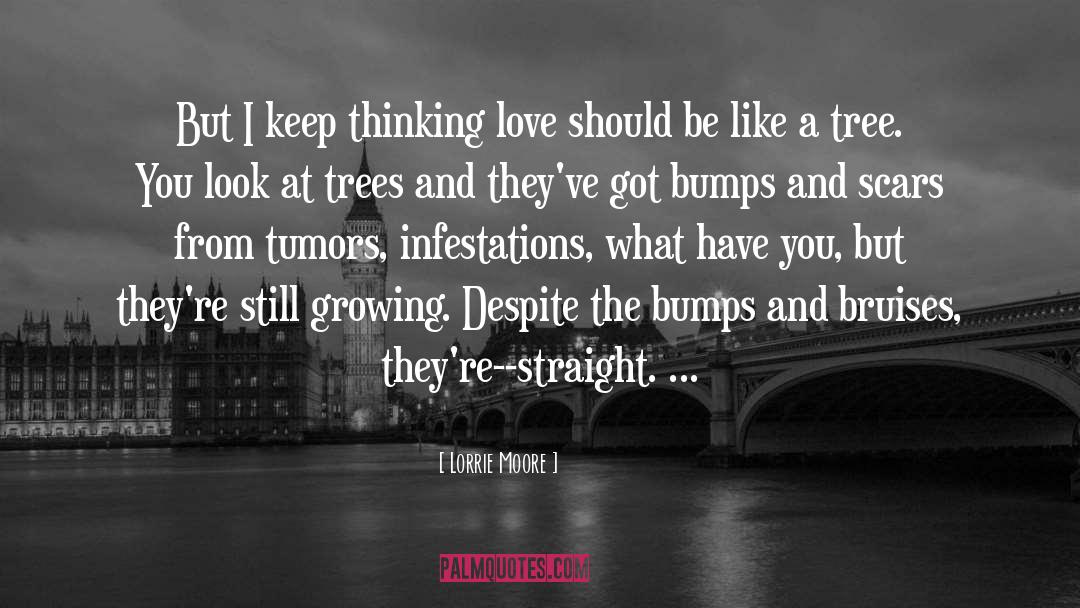 Bruises quotes by Lorrie Moore