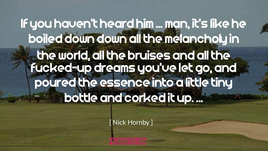 Bruises quotes by Nick Hornby