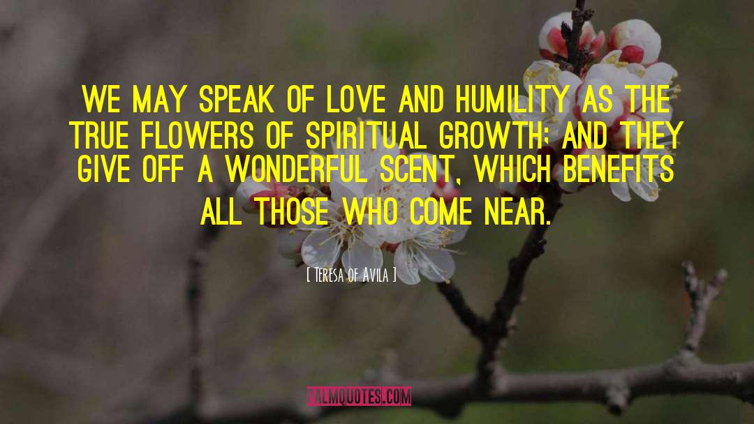 Brumlow Flower quotes by Teresa Of Avila