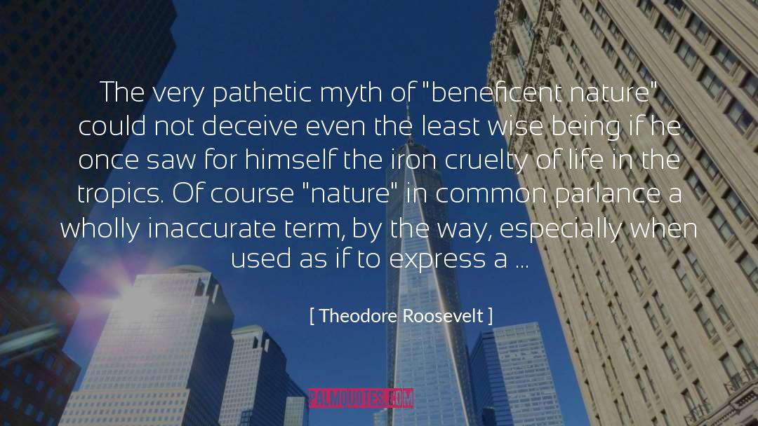 Brunei Good quotes by Theodore Roosevelt