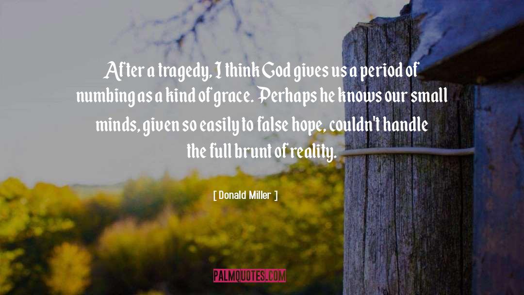 Brunt quotes by Donald Miller