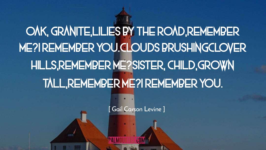 Brushing quotes by Gail Carson Levine