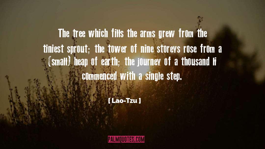 Brussel Sprouts quotes by Lao-Tzu