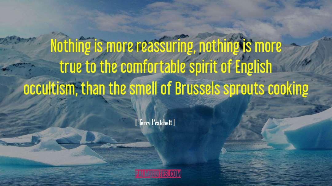 Brussels quotes by Terry Pratchett