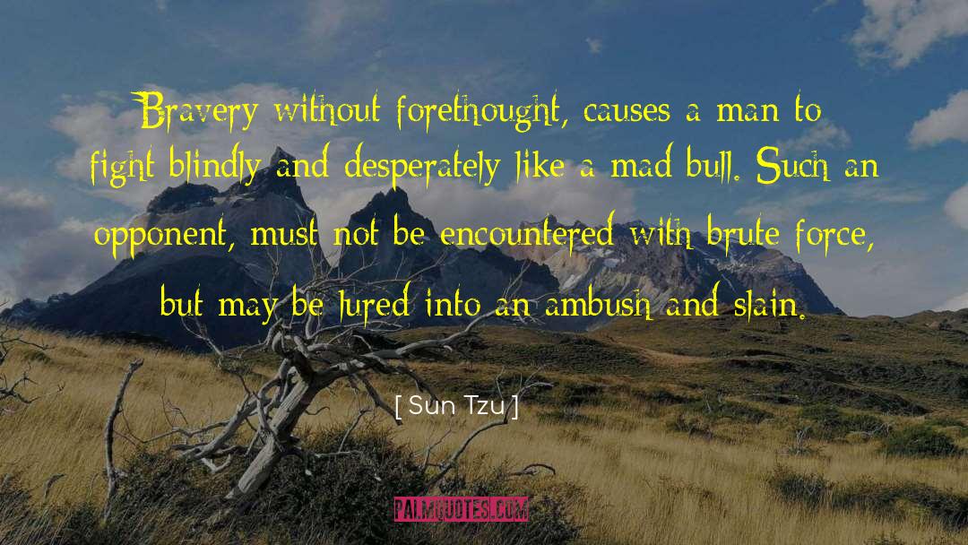 Brute Force quotes by Sun Tzu