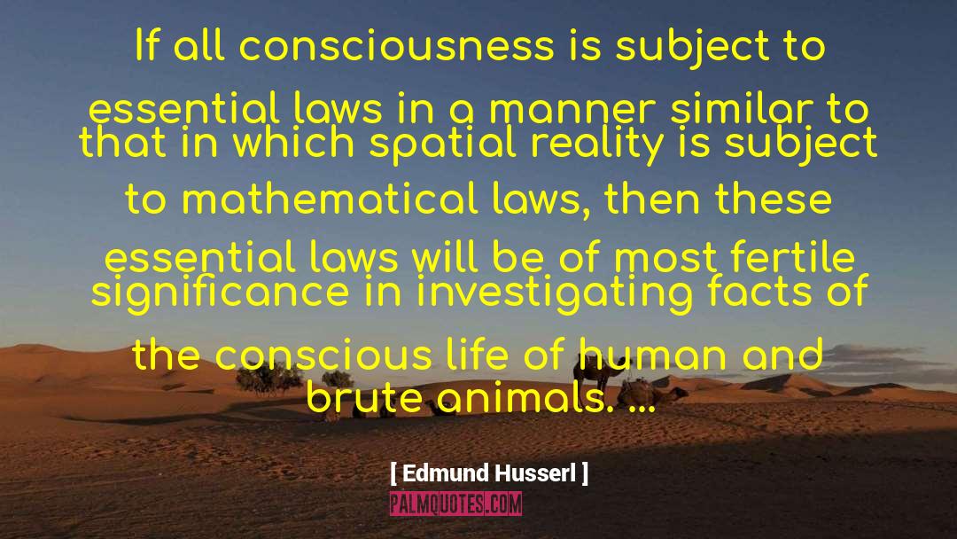 Brute quotes by Edmund Husserl