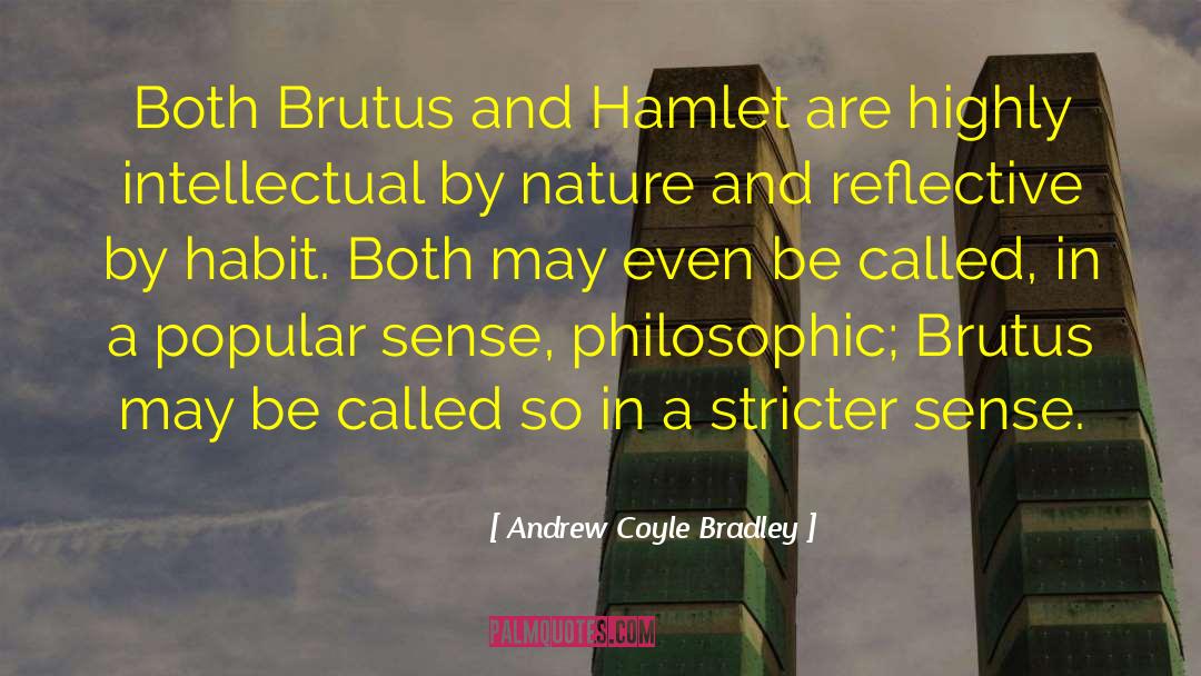 Brutus quotes by Andrew Coyle Bradley