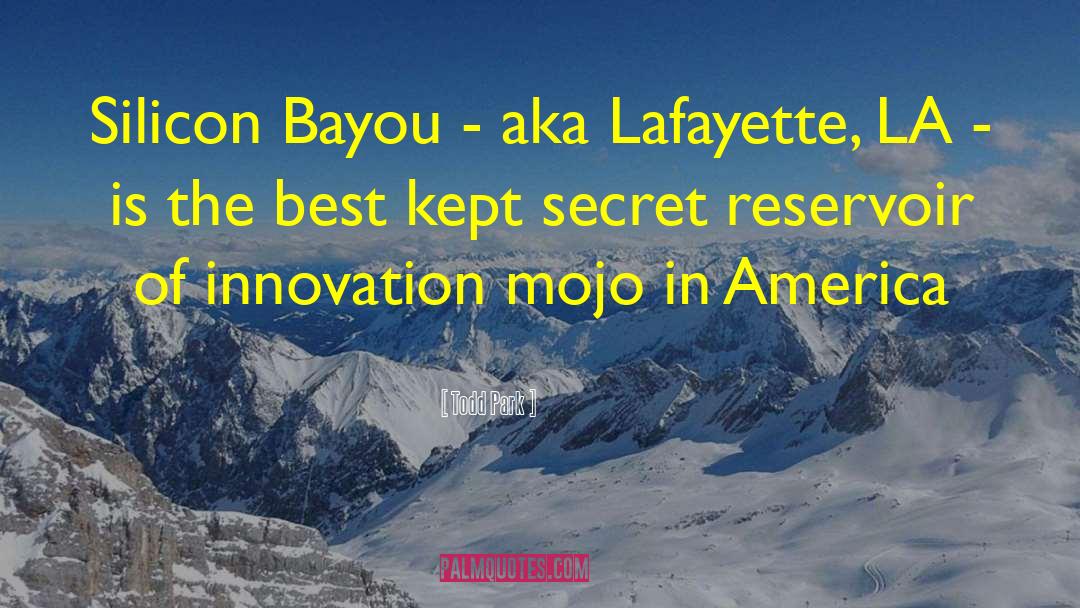 Bruzzone Lafayette quotes by Todd Park