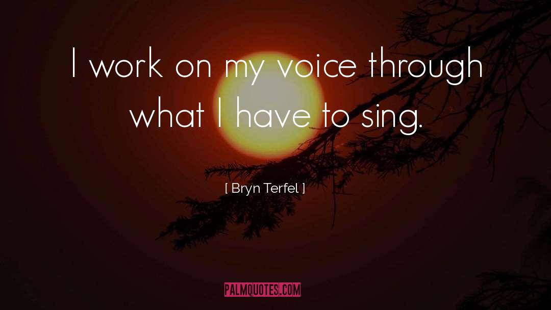 Bryn Mawr quotes by Bryn Terfel