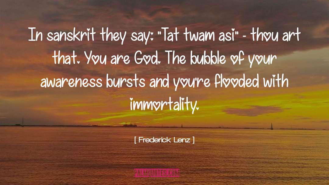 Bubble Burster quotes by Frederick Lenz