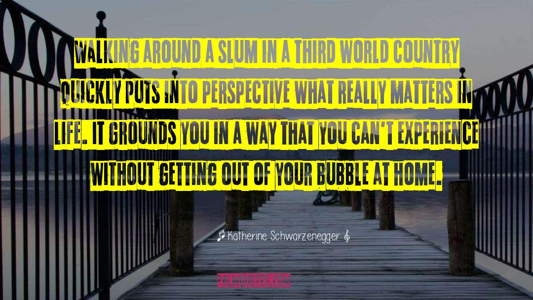 Bubble Burster quotes by Katherine Schwarzenegger