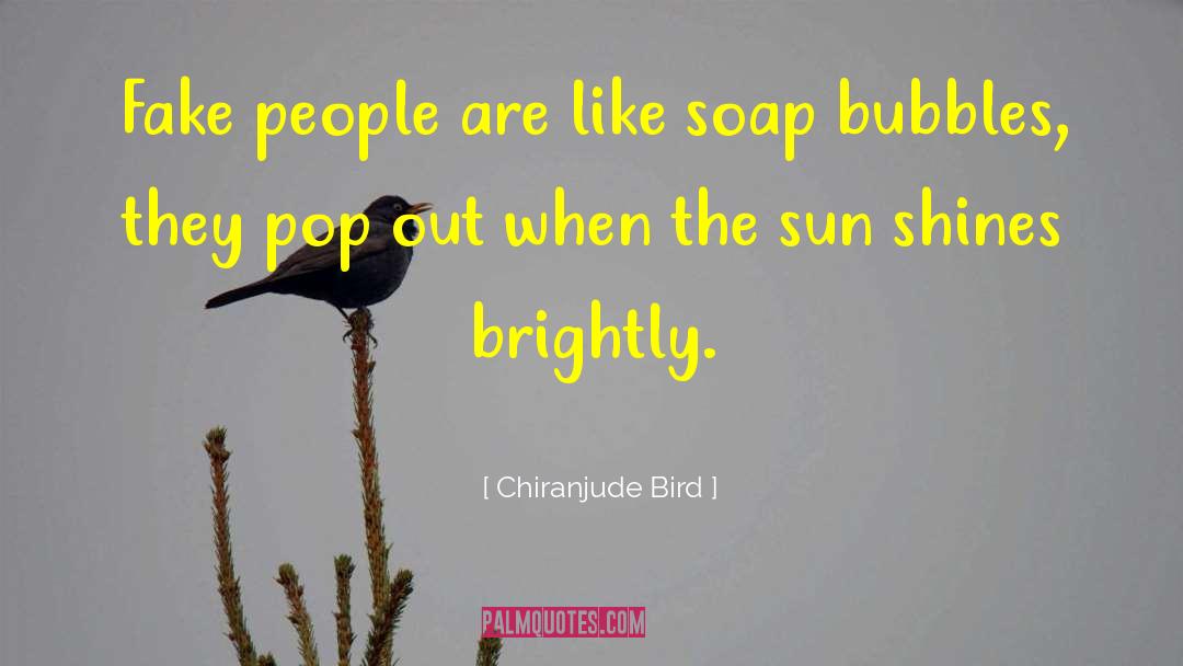 Bubbles For quotes by Chiranjude Bird
