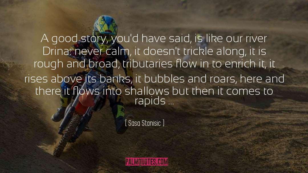 Bubbles quotes by Sasa Stanisic