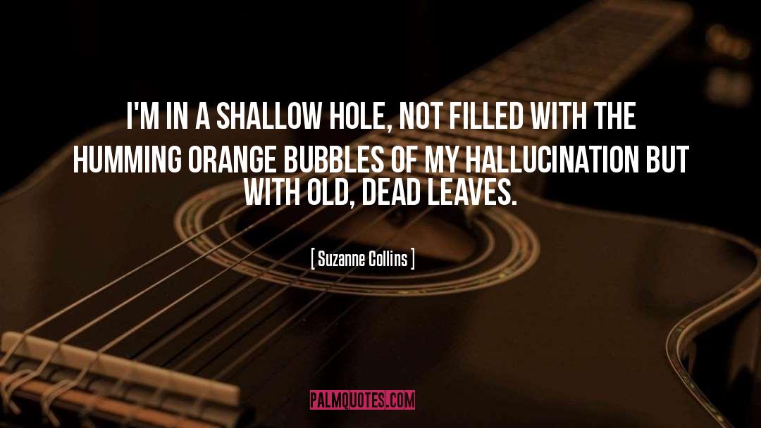 Bubbles quotes by Suzanne Collins