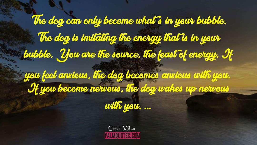 Bubbles quotes by Cesar Millan