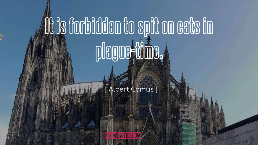 Bubonic Plague quotes by Albert Camus