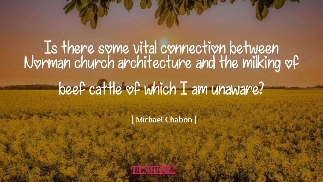 Buccino Michael quotes by Michael Chabon