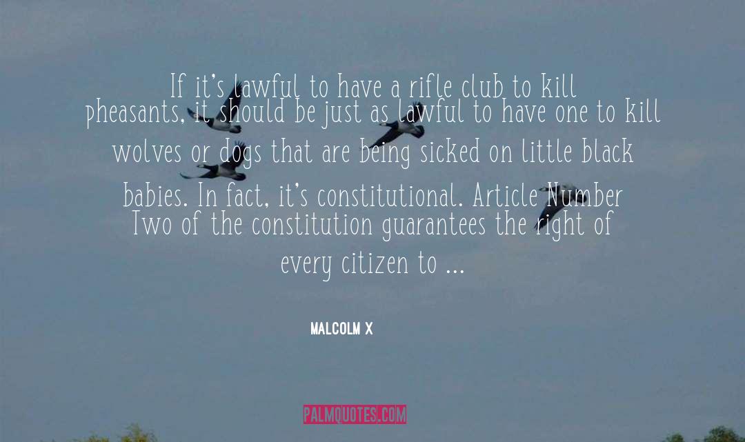 Buchele Rifle quotes by Malcolm X
