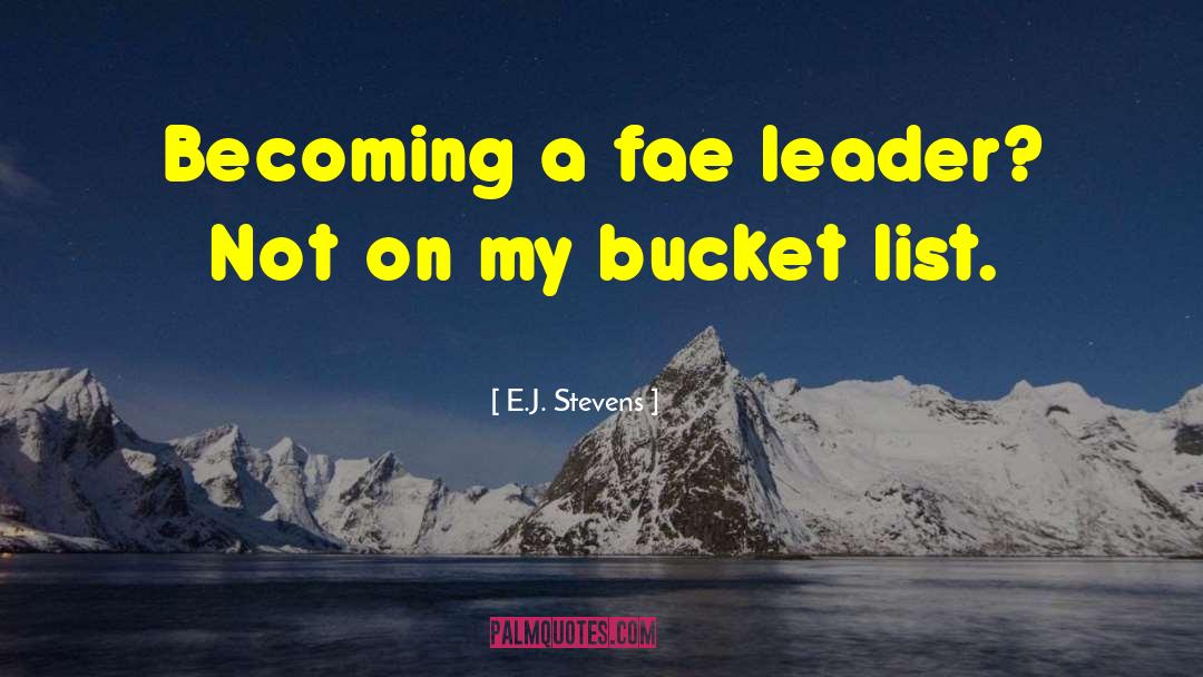 Bucket List quotes by E.J. Stevens