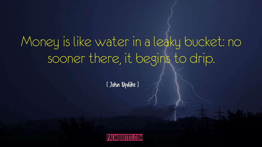 Bucket quotes by John Updike