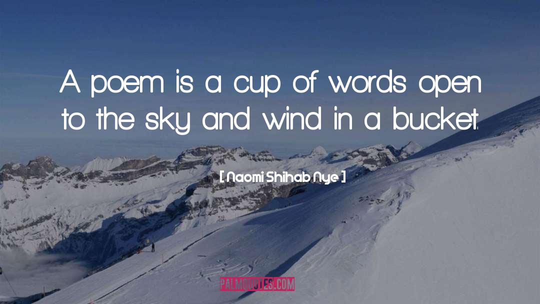 Bucket quotes by Naomi Shihab Nye