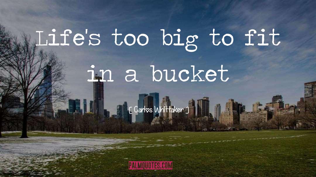 Bucket quotes by Carlos Whittaker