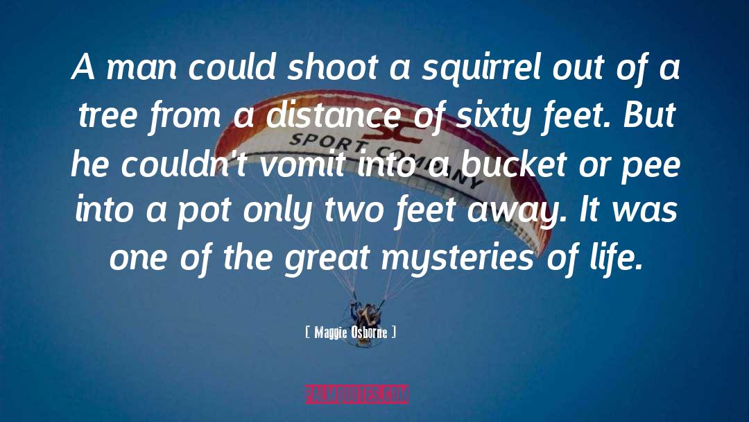 Bucket quotes by Maggie Osborne