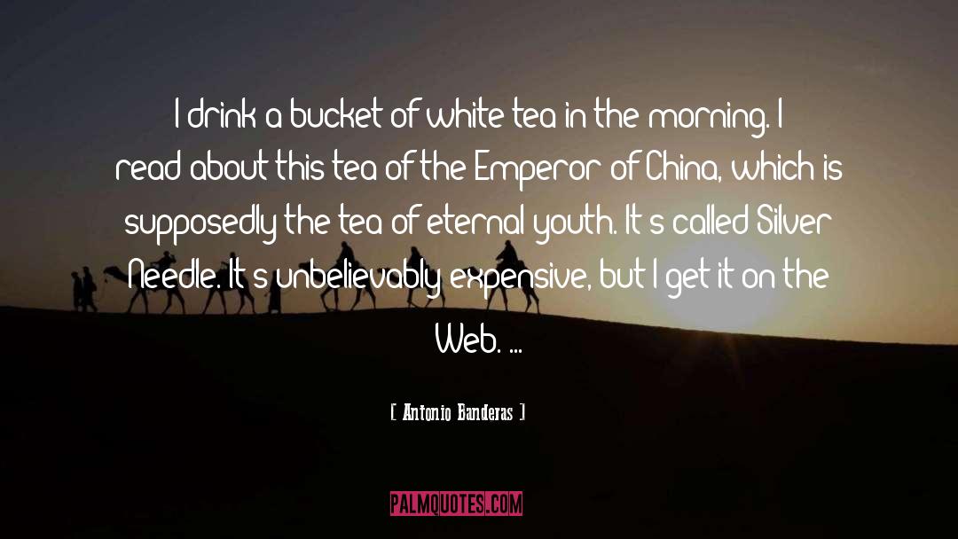 Buckets quotes by Antonio Banderas