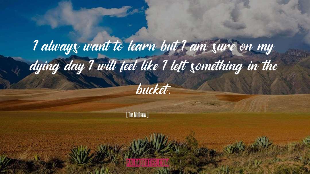 Buckets quotes by Tim McGraw