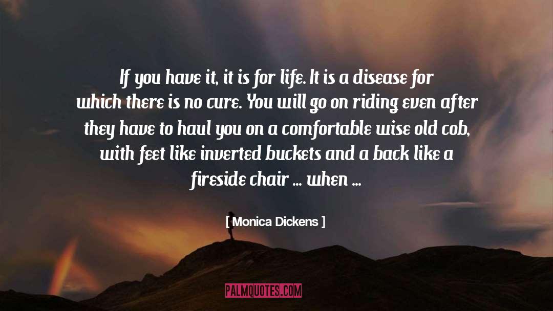 Buckets quotes by Monica Dickens