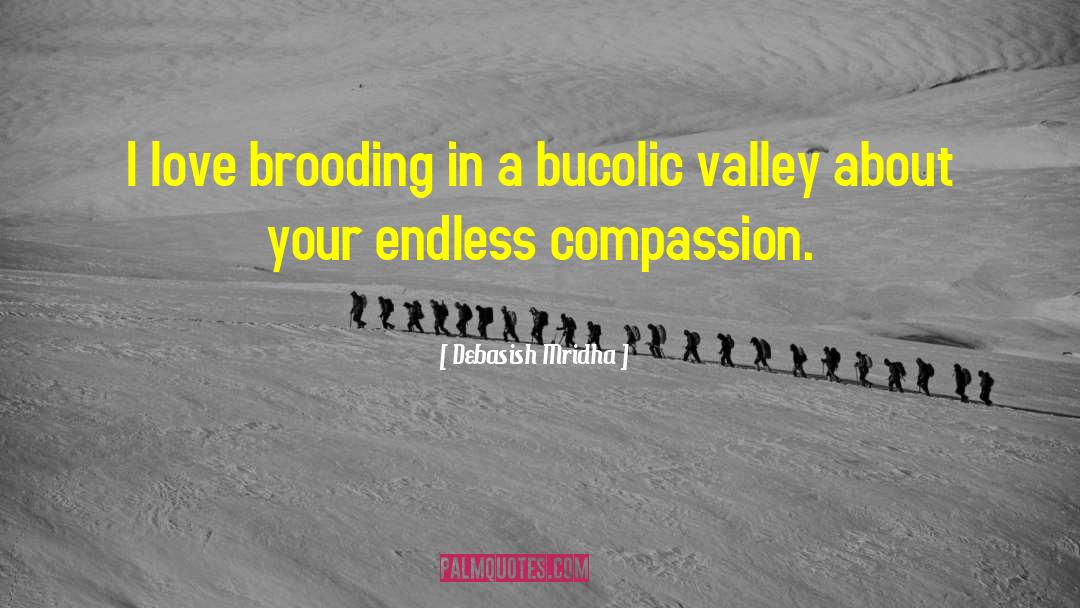 Bucolic Valley quotes by Debasish Mridha
