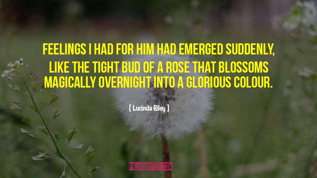 Bud quotes by Lucinda Riley