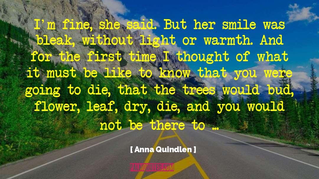 Bud quotes by Anna Quindlen