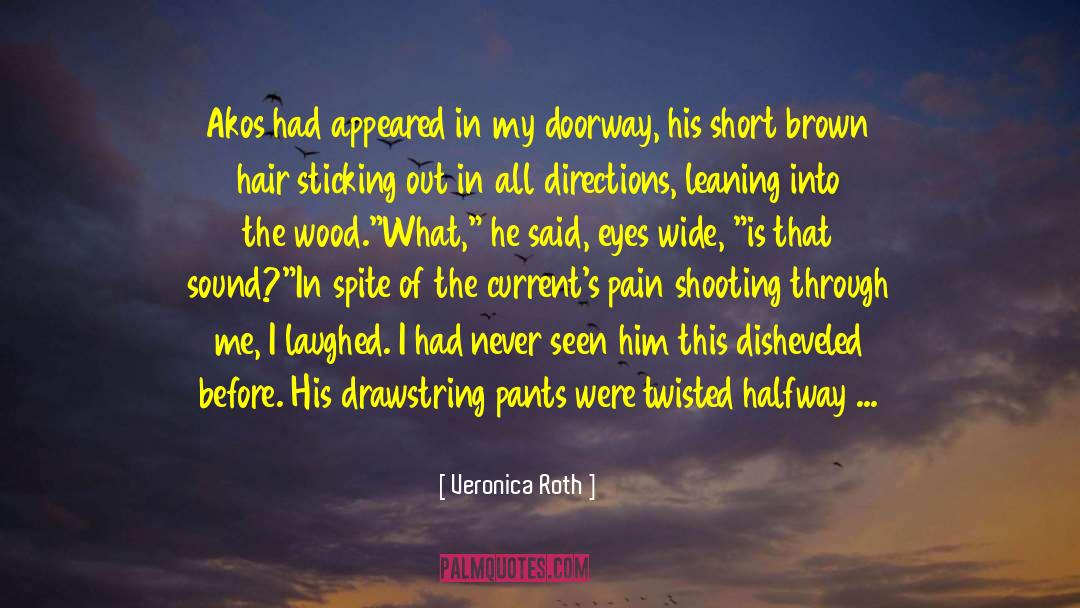 Budapest Shooting quotes by Veronica Roth