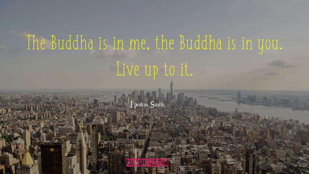 Buddha Brainy quotes by Huston Smith