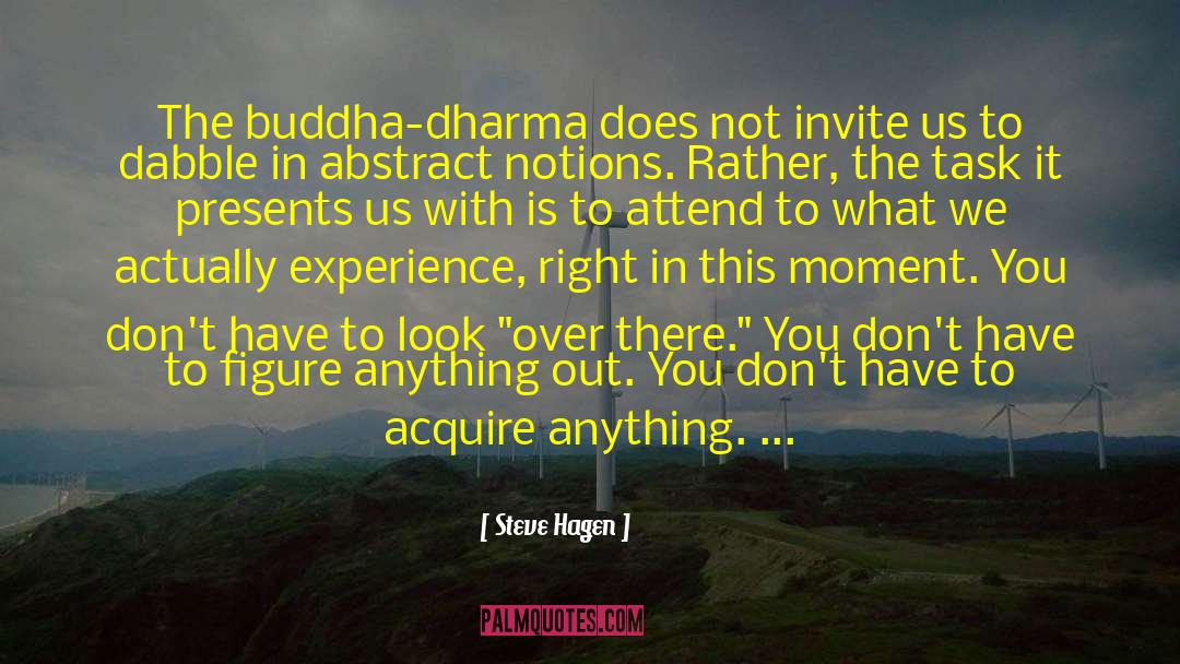 Buddha Dharma quotes by Steve Hagen